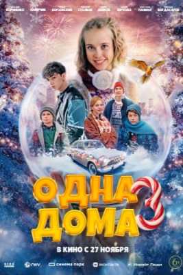 Одна дома. Великолепная пятерка